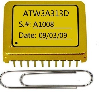 ATW3A313D.jpg
