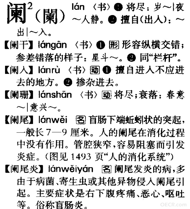 阑2.jpg