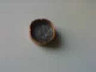 大金蒸镀膜片2