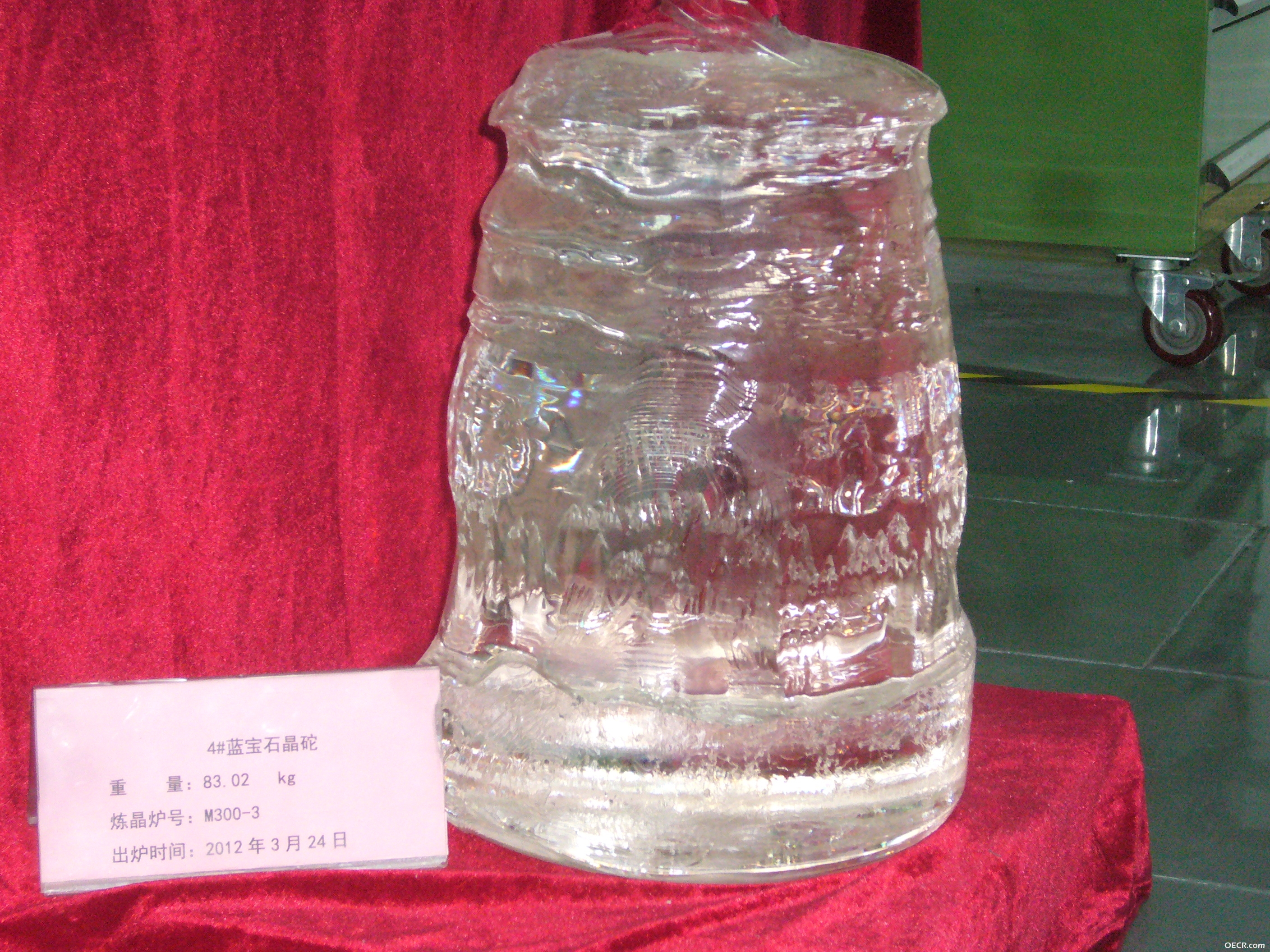 P1190023.JPG