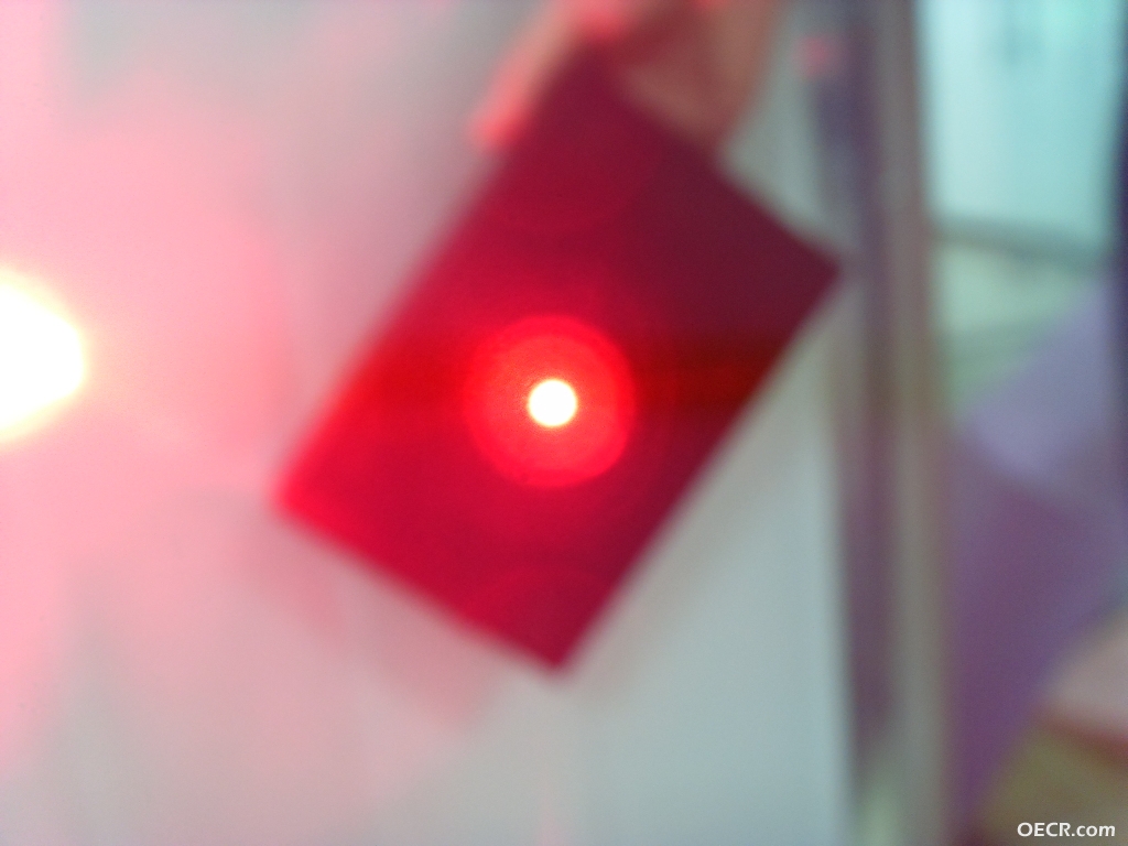 SDC13261.JPG