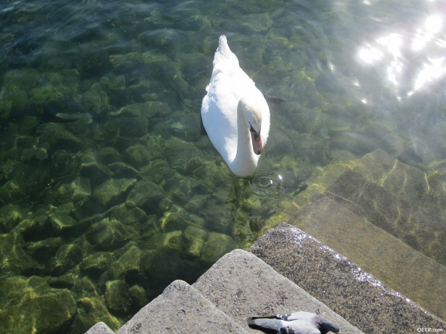 IMG_2651_调整大小.JPG