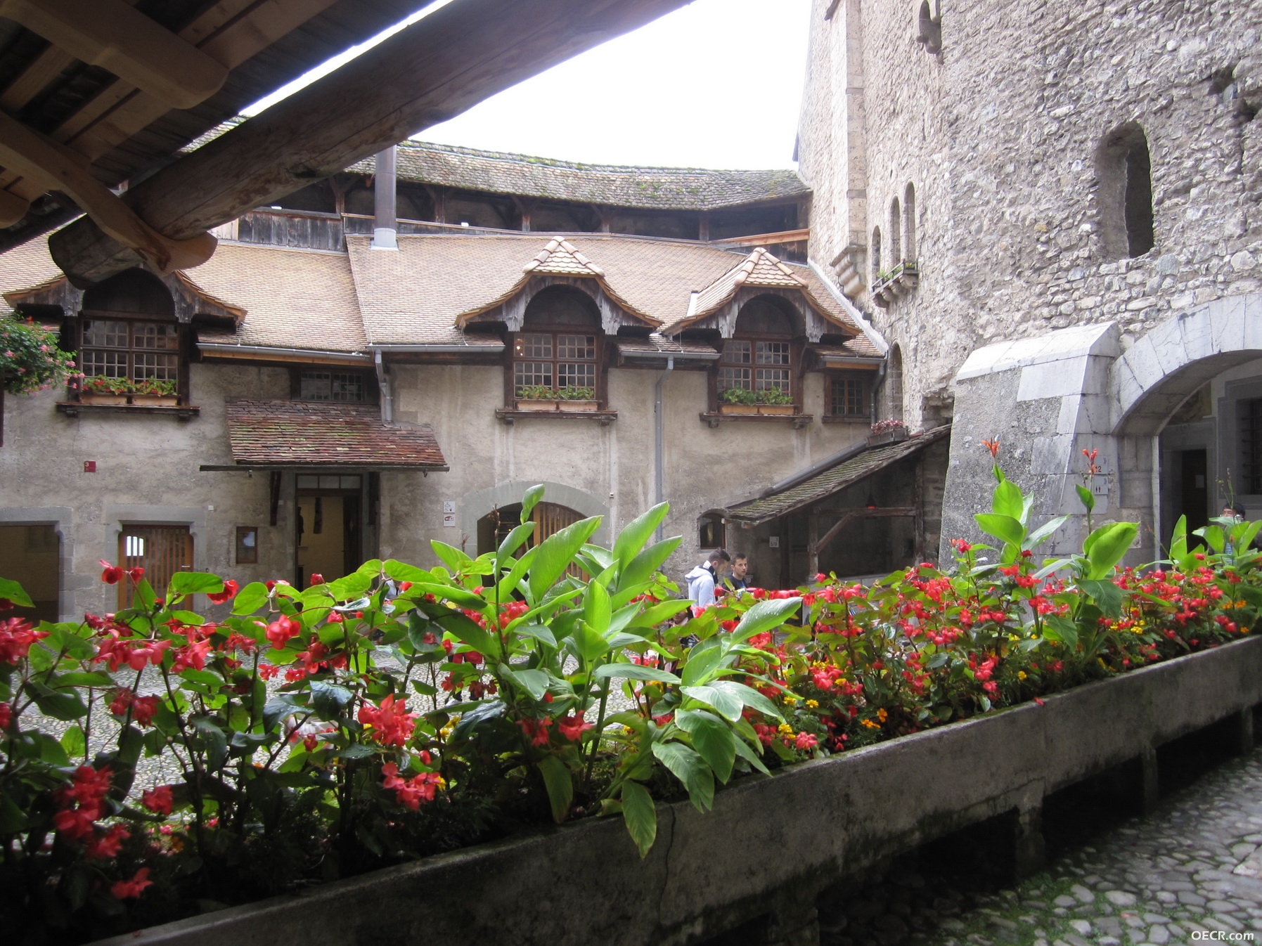 IMG_0328_调整大小.JPG