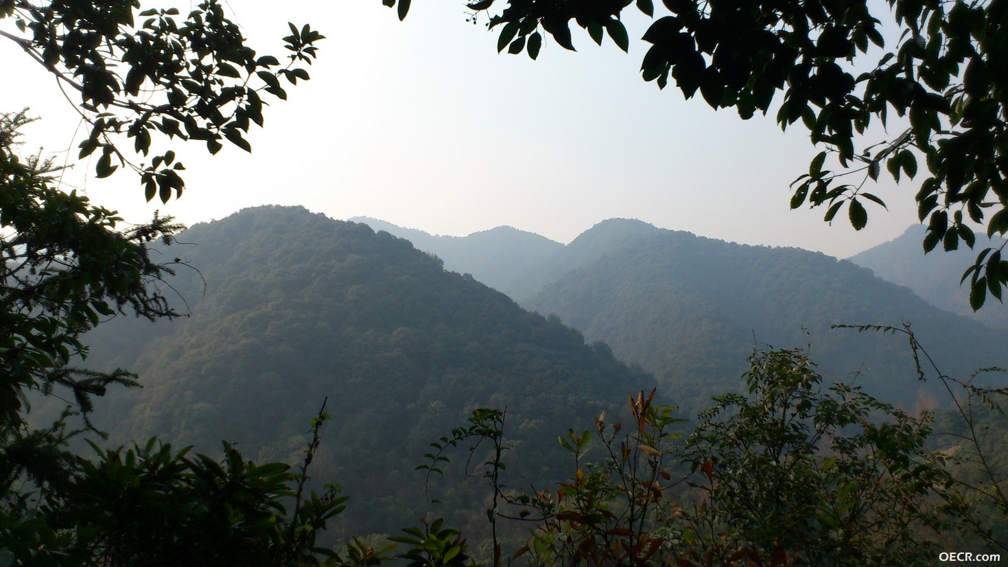 DSC_2698_调整大小.jpg