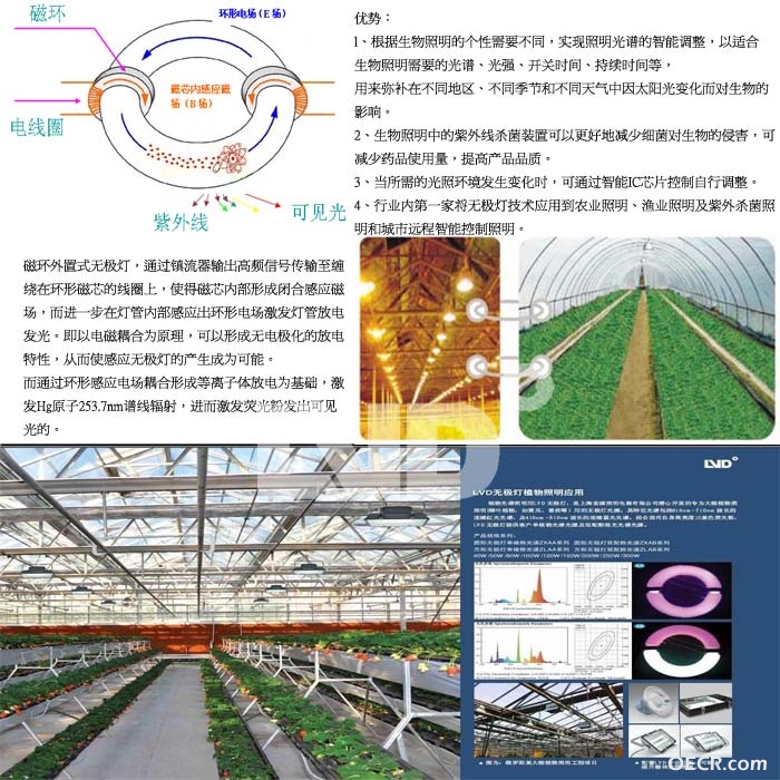 无极灯生物照明.jpg