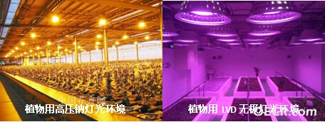 高压钠灯与LVD的对比.jpg