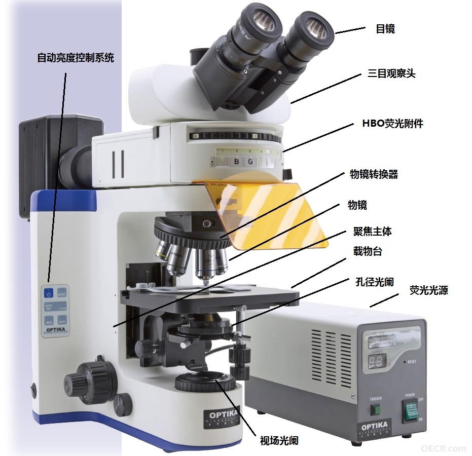 B1000.jpg