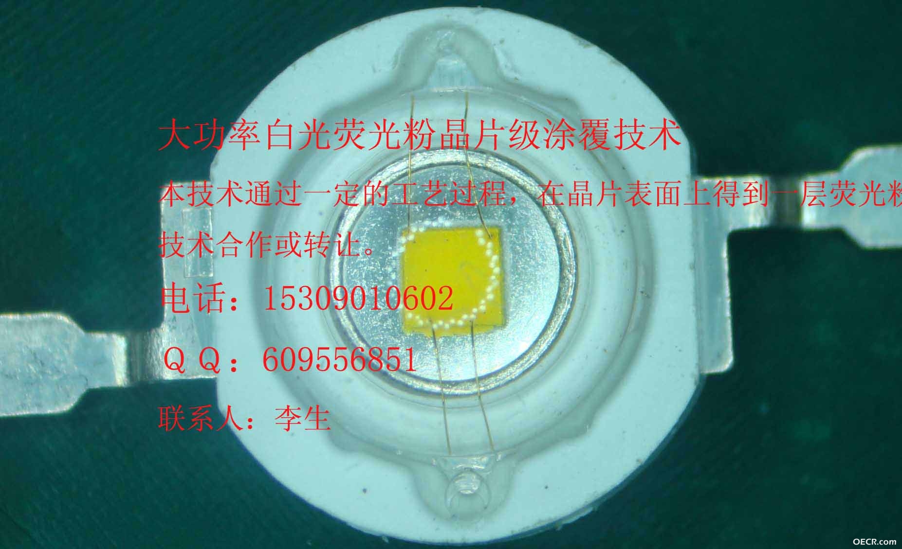 200912171642922678.jpg
