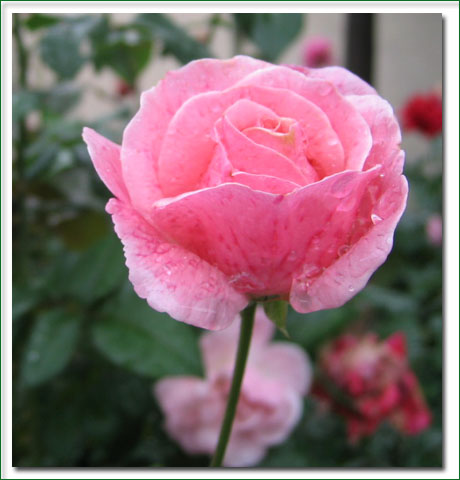 翼城国庆之记实见闻