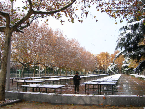 2004年的第一场雪