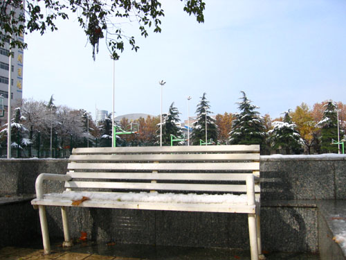 2004年的第一场雪