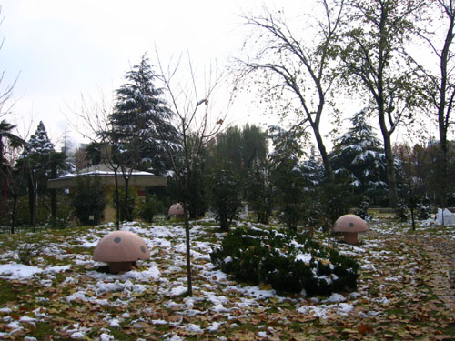 2004年的第一场雪