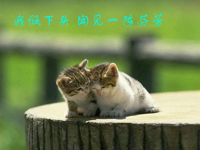 BBS上的问答游戏,大家玩过吗?
