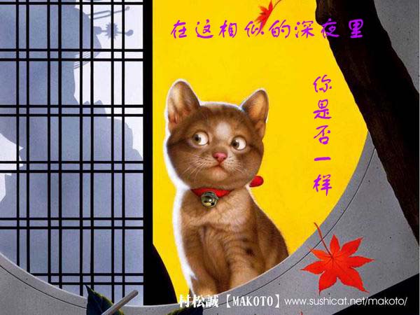 [贴图]猫咪爱情演绎版-------后来