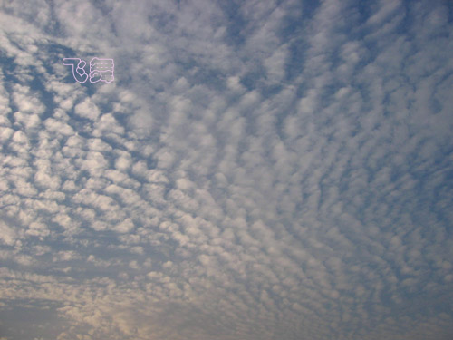 天空之城［５．２８］