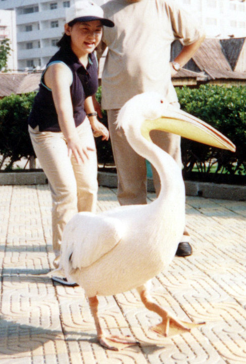 武汉动物园（Wuhan Zoo）