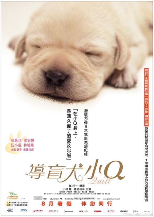 [转帖]导盲犬