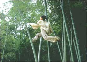 [转帖]成就中国10部大片的10大美景！！！