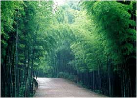 [转帖]成就中国10部大片的10大美景！！！