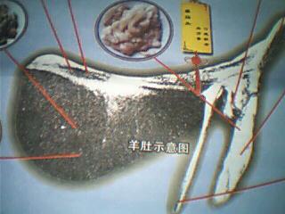 我想学广东话,有谁能帮我?