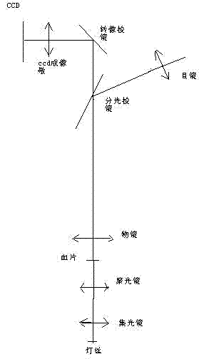 请同行分析----关于显微镜的ccd不能很好成像很奇怪的现象