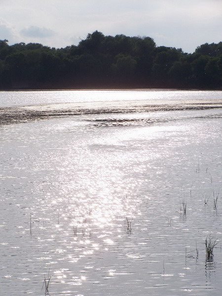湖