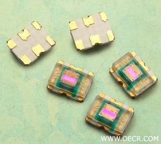 EECOL_0806_NP2.jpg