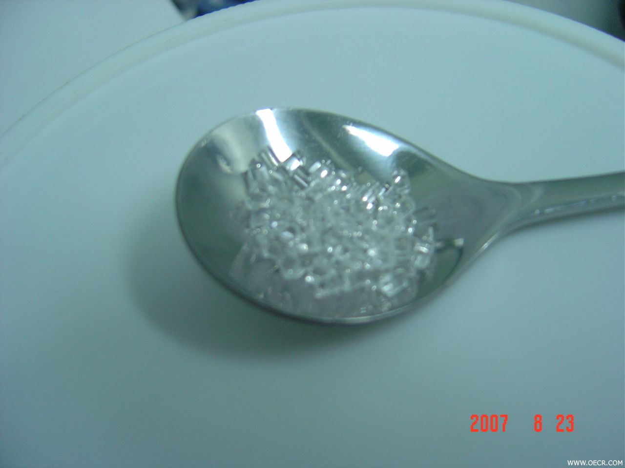DSC02833.JPG