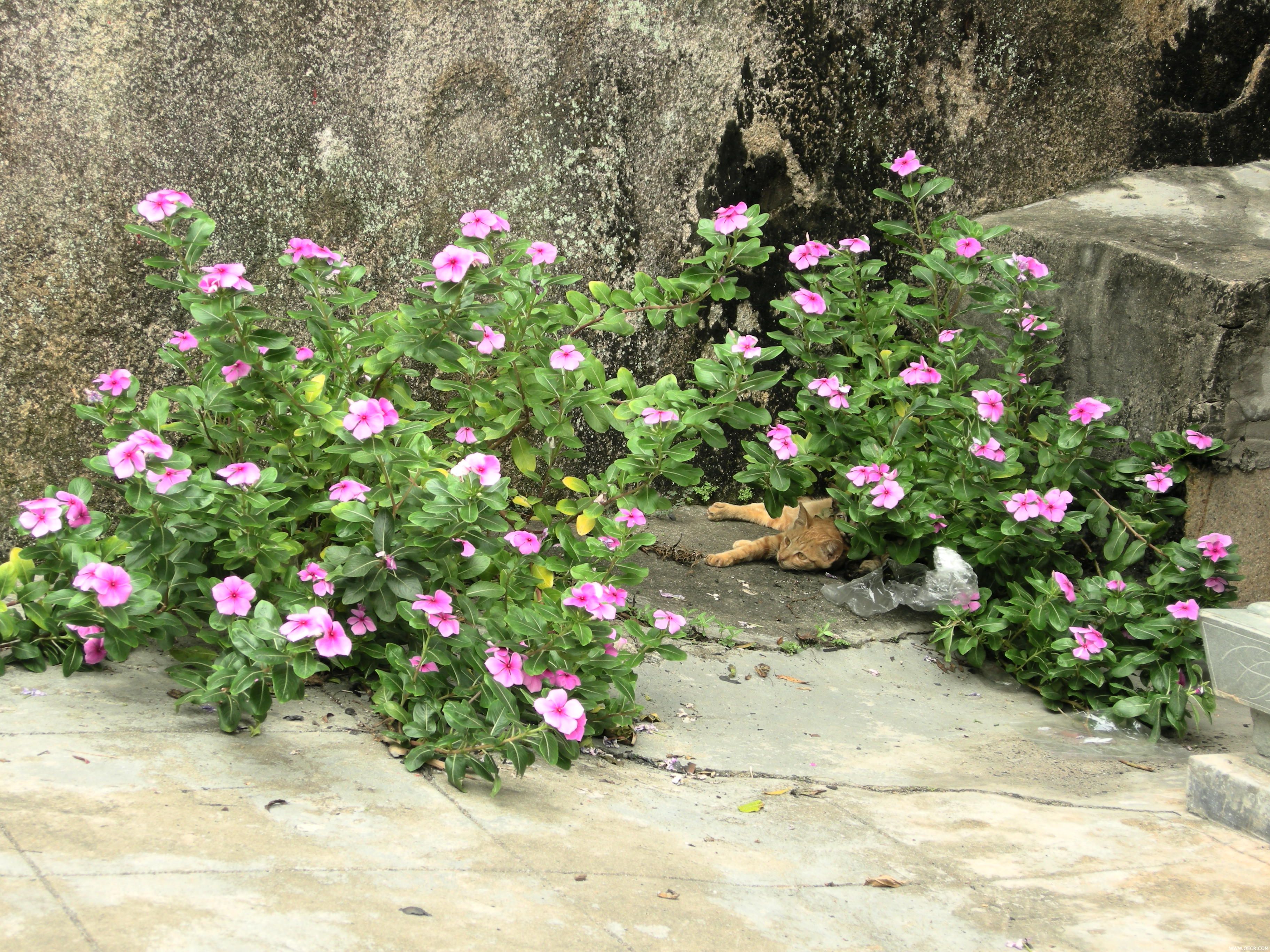 照片 108.jpg