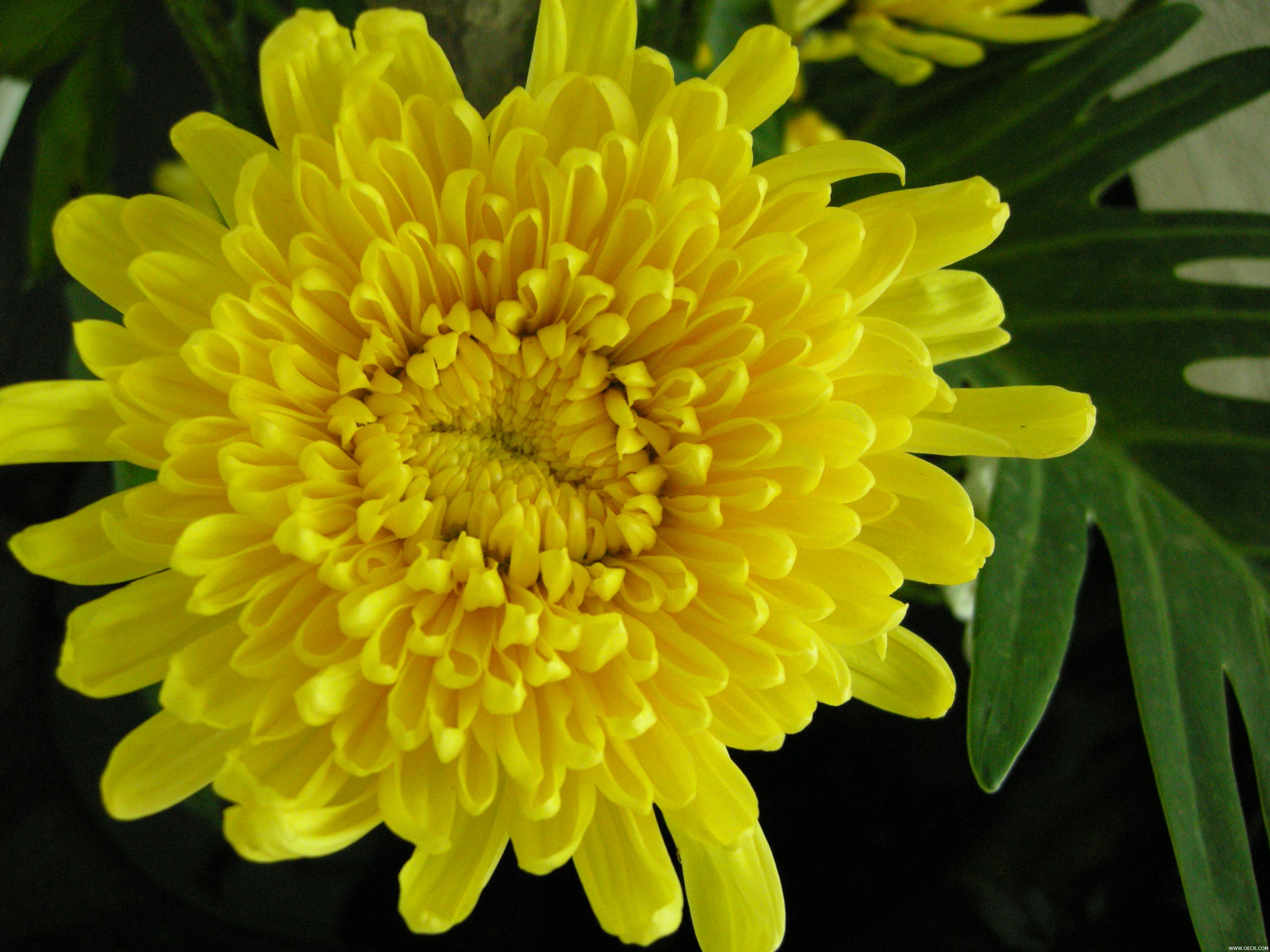照片 029.jpg