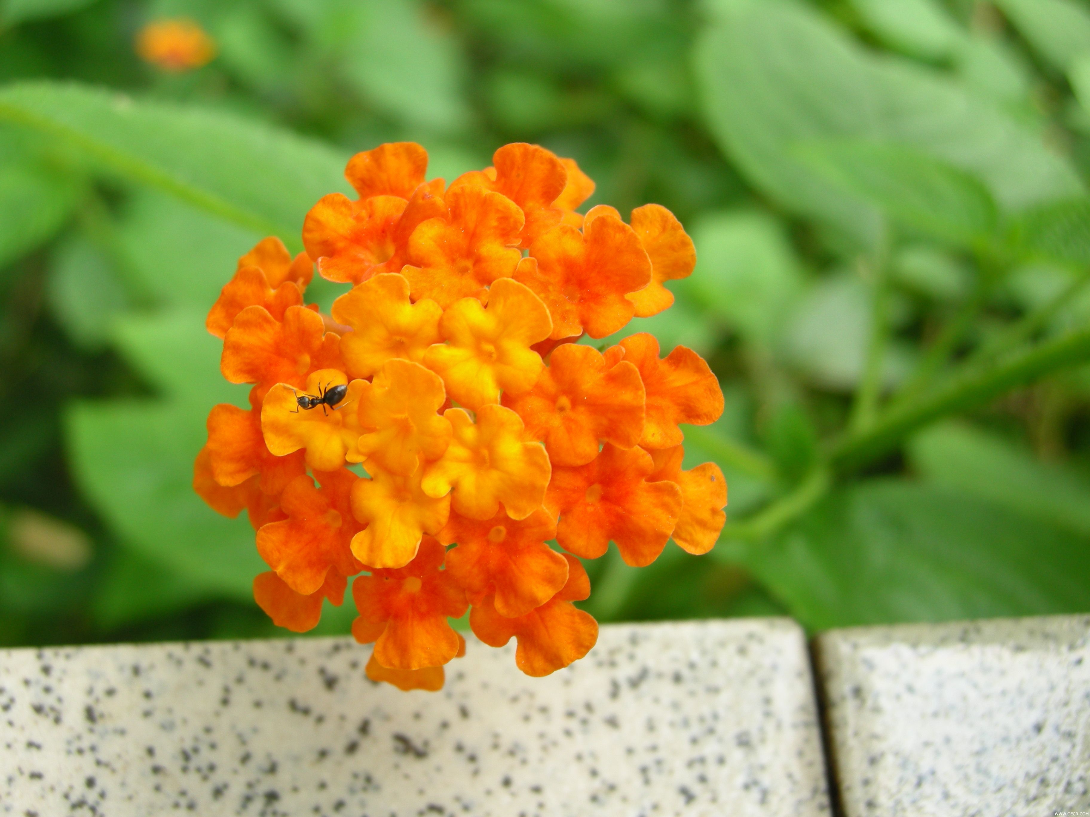 照片 106.jpg