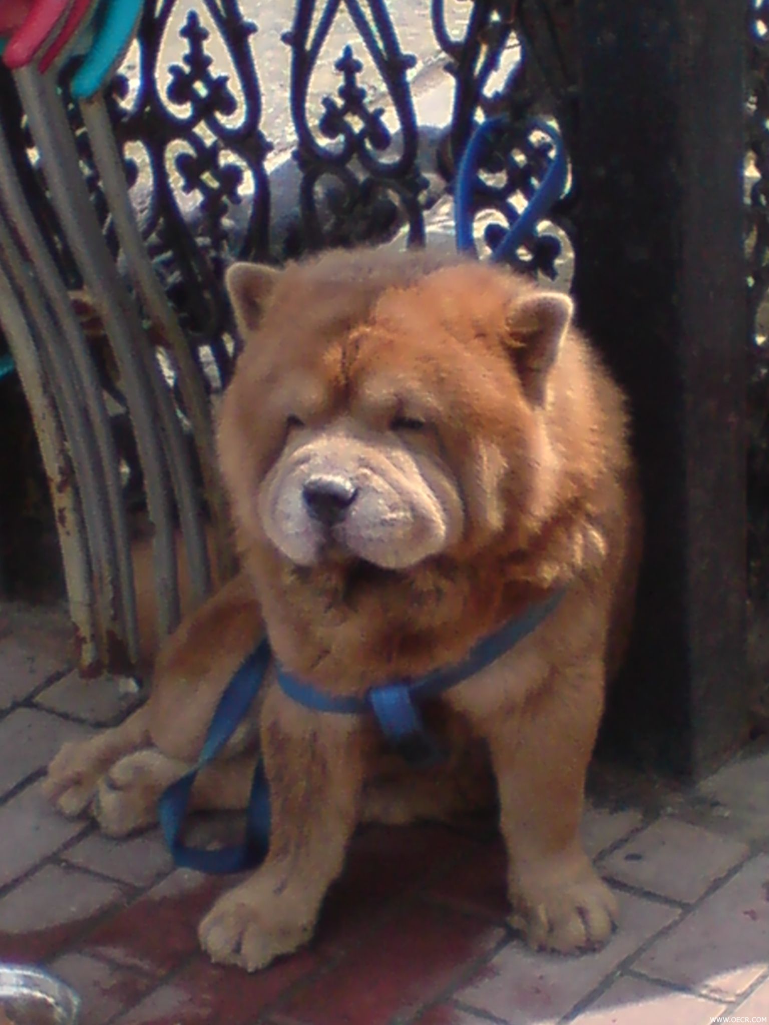DSC00109.JPG
