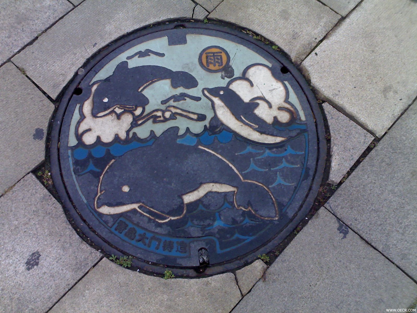 海豚阴井盖