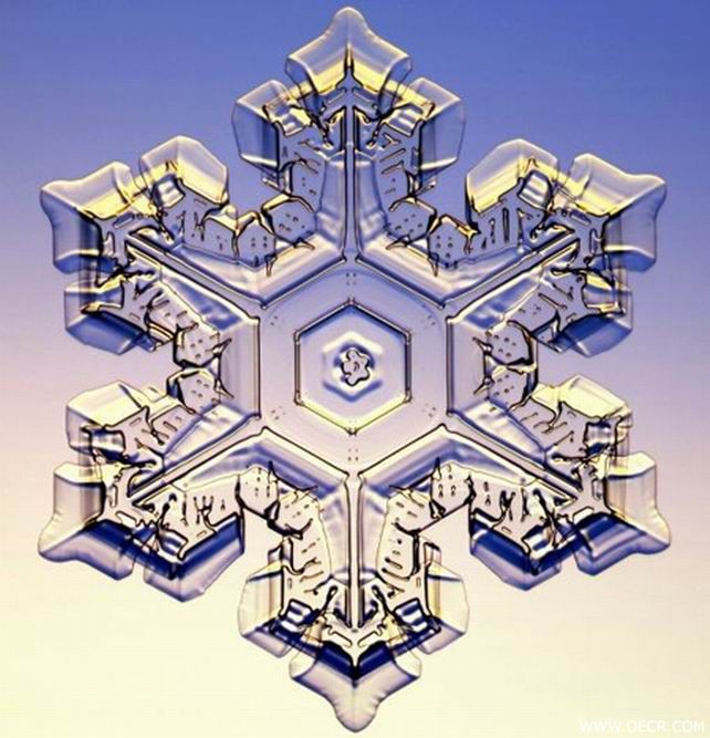 冬天的雪花 (6).jpg