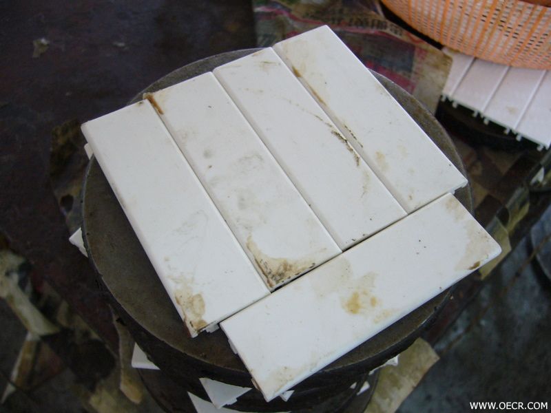 P1000823.JPG