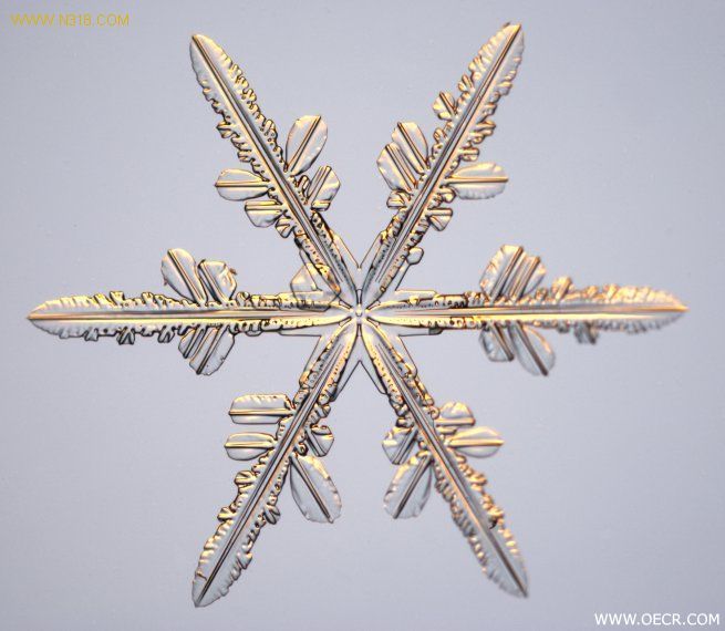 冬天的雪花 (8).jpg