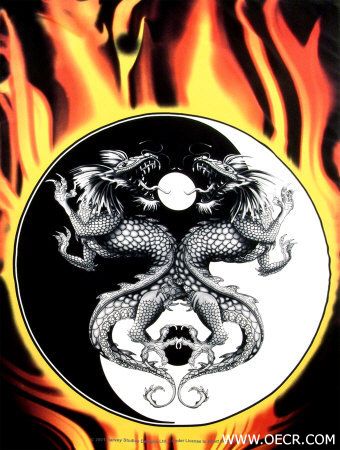 51390~Dragons-Burning-Yin-Yang-Posters.jpg
