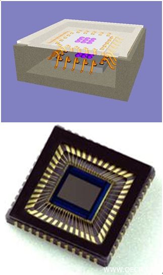11B_DC6_F1.jpg