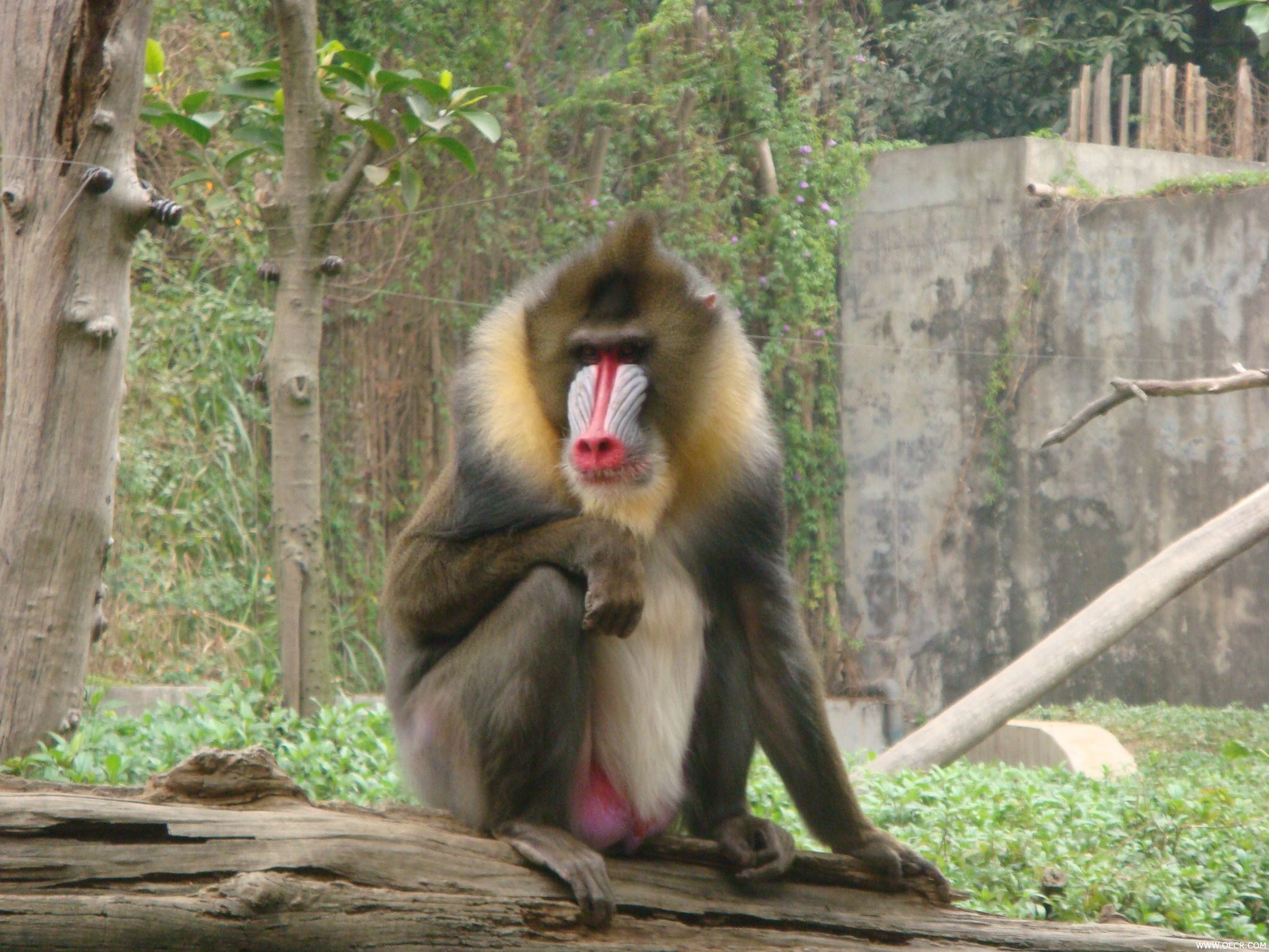 DSC00773.JPG