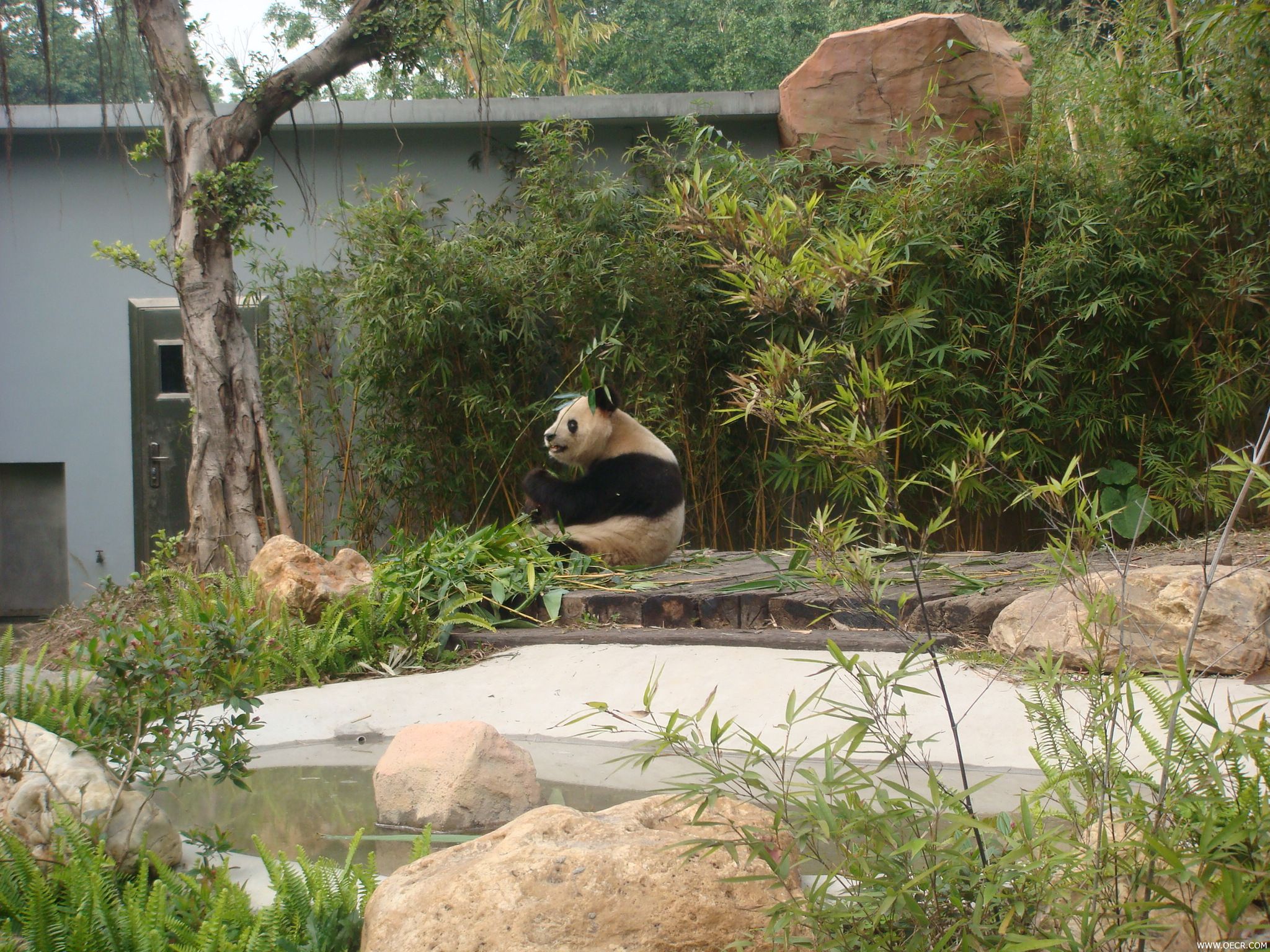 DSC00897.JPG