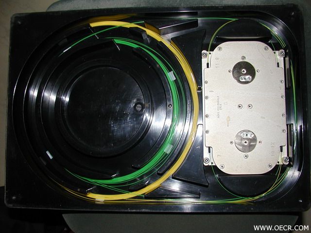 P4010002.jpg