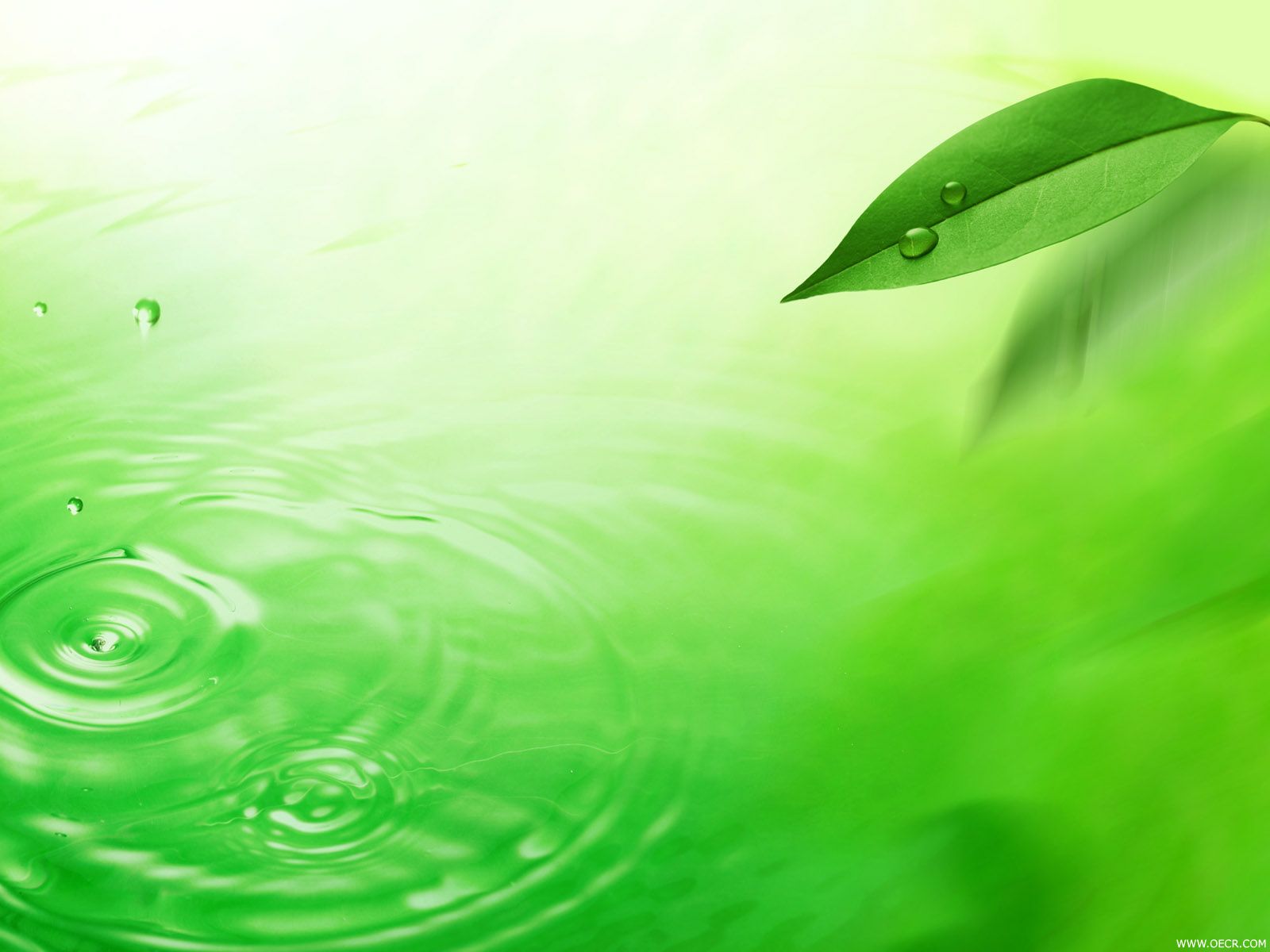 41_589_fd725bd0fda4a1e.jpg
