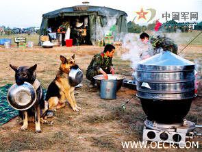 真是训练有素啊.jpg