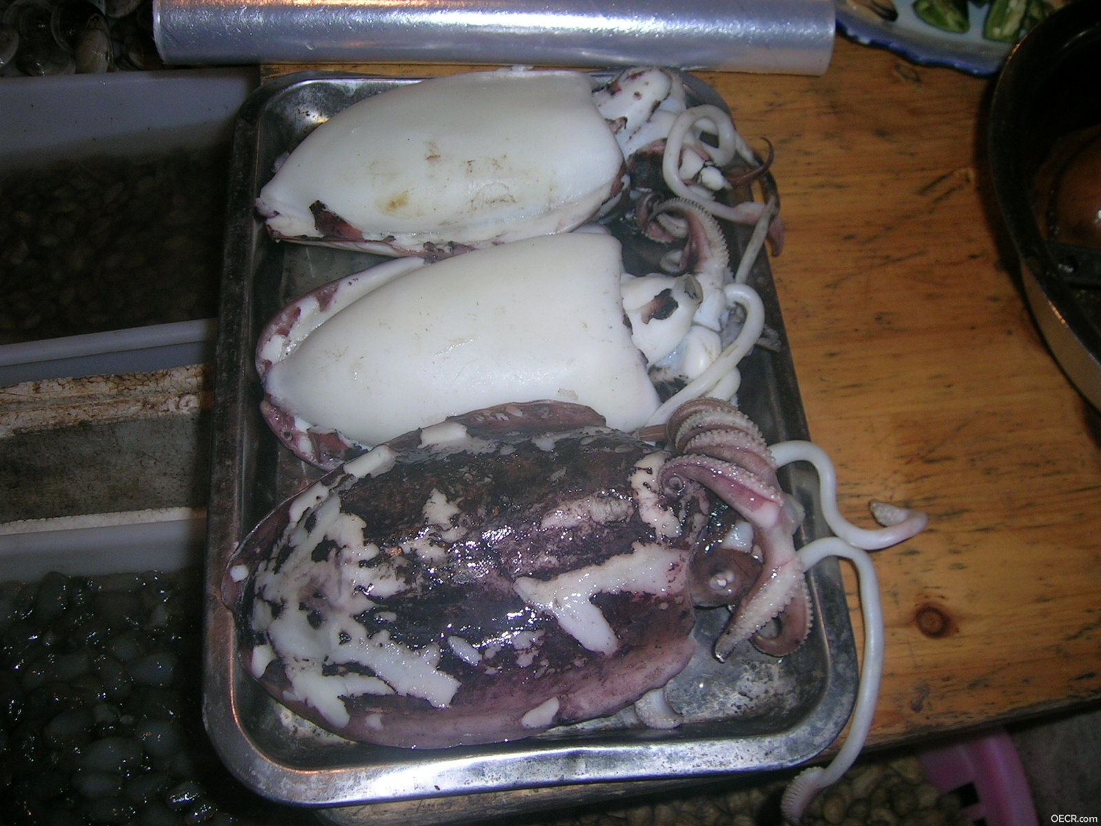 DSCN3597.JPG