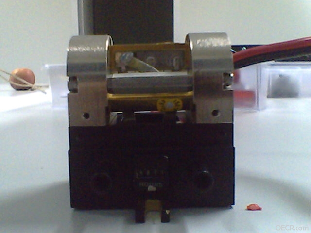 ceo01.jpg