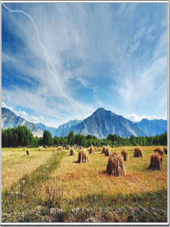 风景.gif