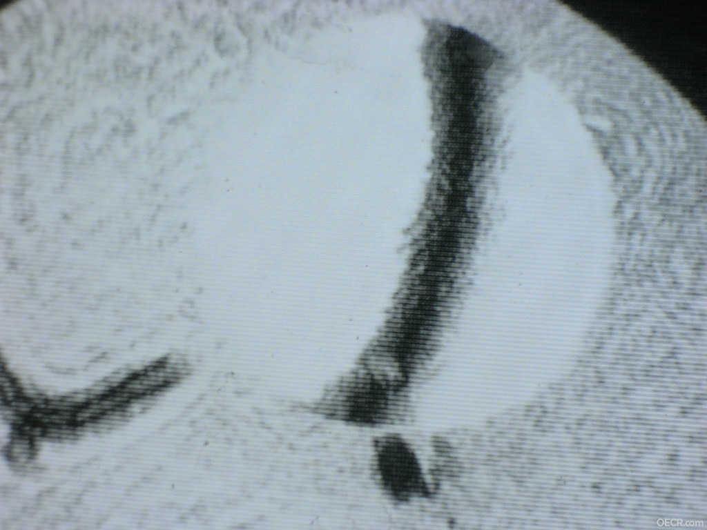 DSCN8652.JPG