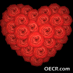 20090213104457334[1].png