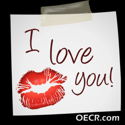 20090213104455835[1].png