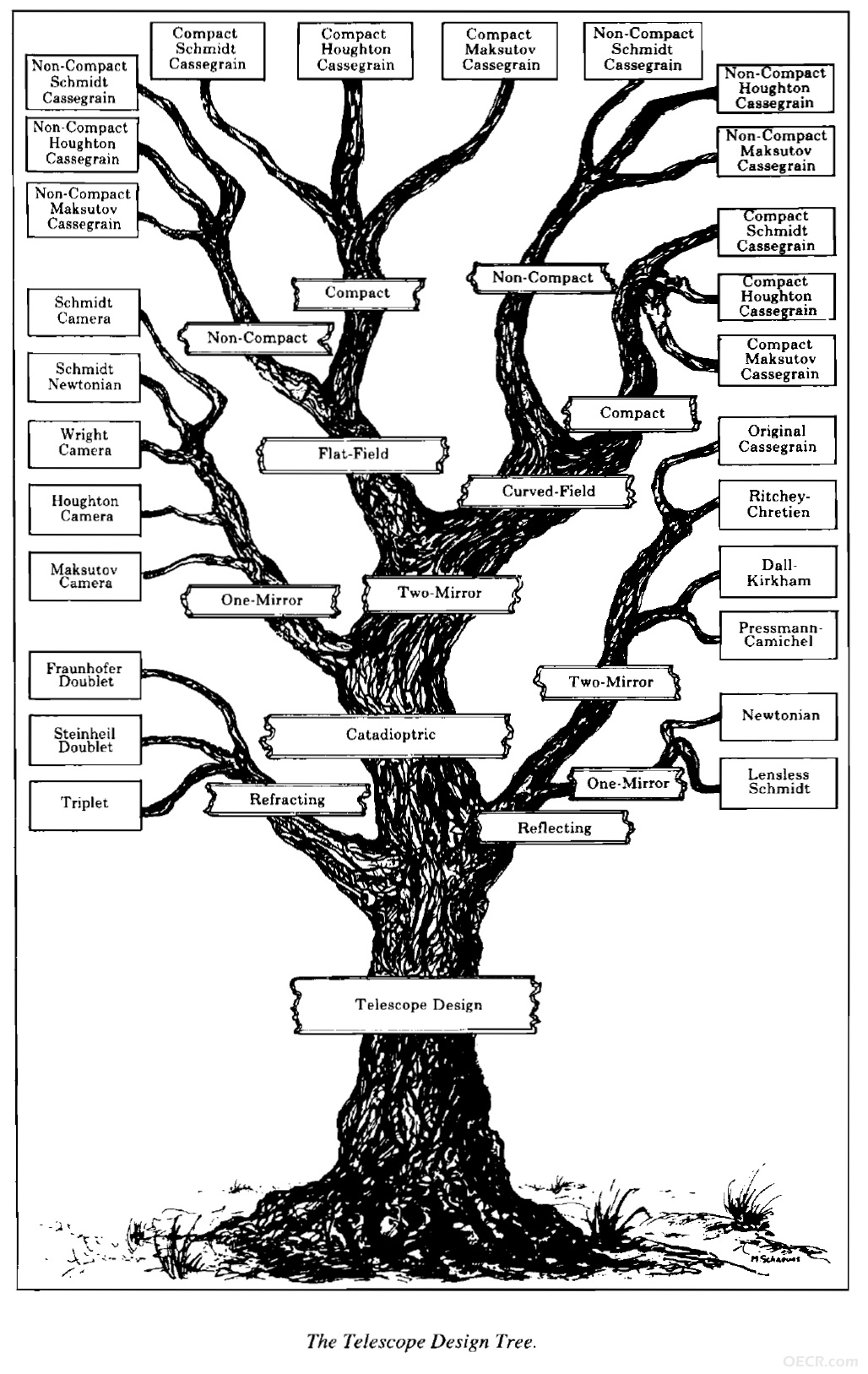 The Telescope Design Tree.jpg